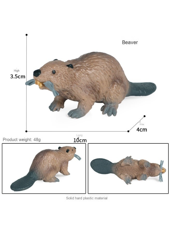 NIBEMINENT Children's Cognitive Early Education Toy - Realistic Beaver Model