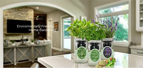 Environet Hydroponic Growing Kit, Self-Watering Mason Jar Herb Garden Starter Kit Indoor, Windowsill Herb Garden, Grow Your Own Herbs from Organic Seeds (Basil) - Image 5