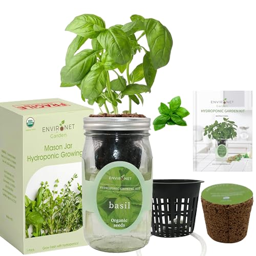Environet Hydroponic Growing Kit, Self-Watering Mason Jar Herb Garden Starter Kit Indoor, Windowsill Herb Garden, Grow Your Own Herbs from Organic Seeds (Basil) - Image 2