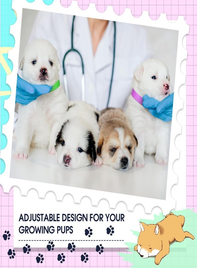 نيزيو مجموعة نيزيو من 300 طوق للجراء، طول 18.5 بوصة، أطواق ورقية للكلاب، أطواق للولادة، أطواق تعريف للجراء، أطواق تعريف ملونة لاصقة للحيوانات الأليفة الصغيرة حديثة الولادة من الكلاب والقطط، 10 ألوان - Image 5