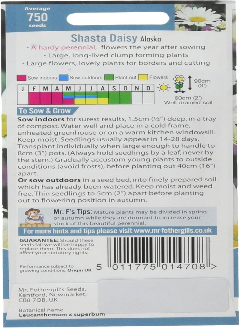 جي جوت 14739 بذور زهرة، شاستا ديزي ألاسكا، أبيض - Image 2