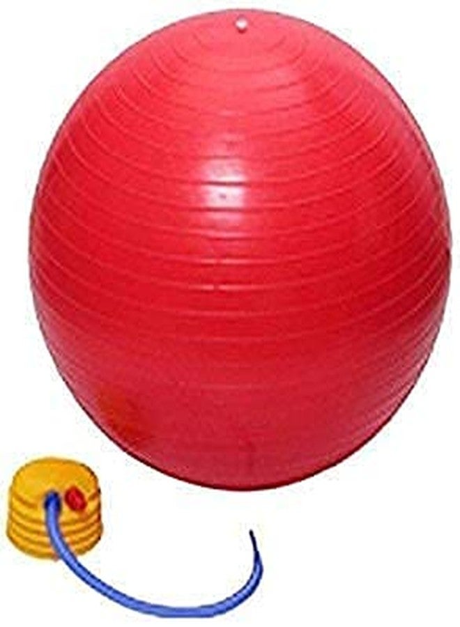 EasyDesk PVC Exercise/Workout Anti Burst Gym Ball - Image 3