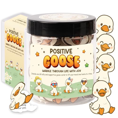 KATINAT Positive Goose Jar, 60 Silly Goose Affirmation Cards, Teen Girl Gifts Treny Stuff, Birthday Gifts for Teenage Girls, Daughter, Stocking Stuffers for Teen Girls - Image 1