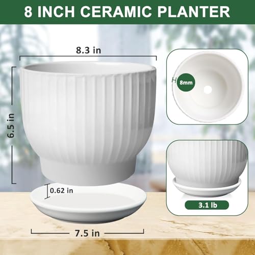 YUFDA 8 Inch Plant Pot,Ceramic Planter with Drainage and Saucer,Ceramic Pots for Plants,Indoor Plant pots,Ceramic Flower pots(Pure White, Plants NOT Included) - Image 2