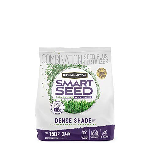 Pennington Smart Seed Dense Shade Grass Mix 3 lb - Image 1