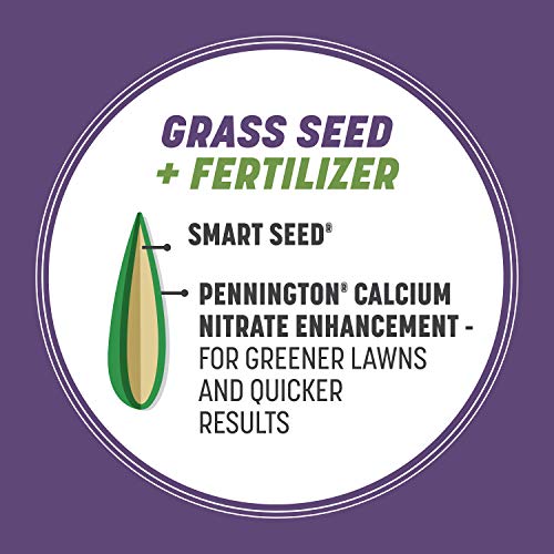 Pennington Smart Seed Dense Shade Grass Mix 3 lb - Image 4