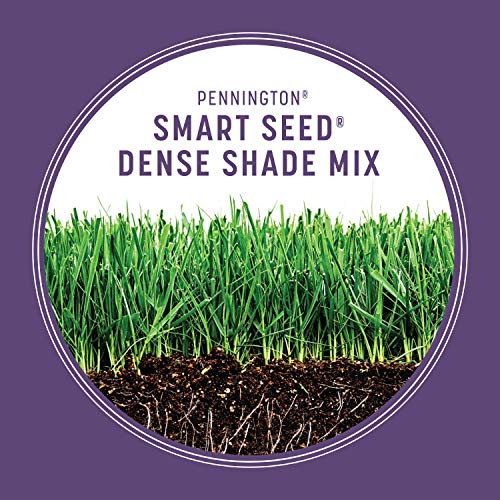 Pennington Smart Seed Dense Shade Grass Mix 3 lb - Image 5