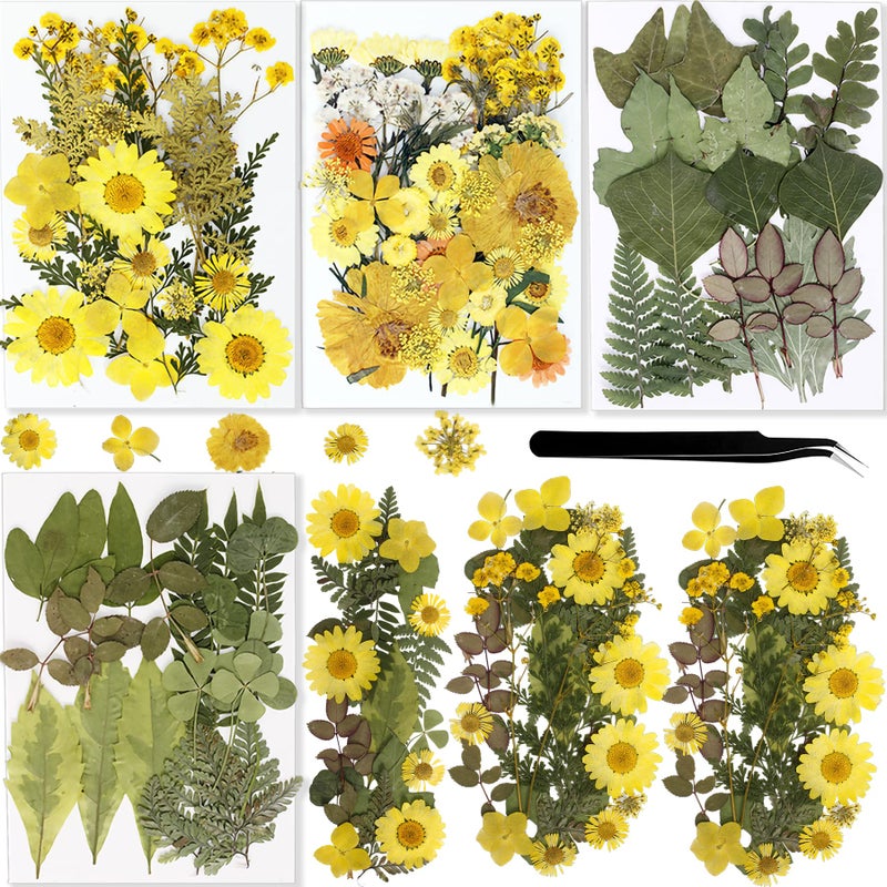 BIHRTC 100PCS Dried Pressed Flowers Assorted Real Dried Pressed Leaves Natural Colorful Real Dry Flowers Leaves for Resin Scrapbooking DIY Candle Accessories Jewelry Crafts Making