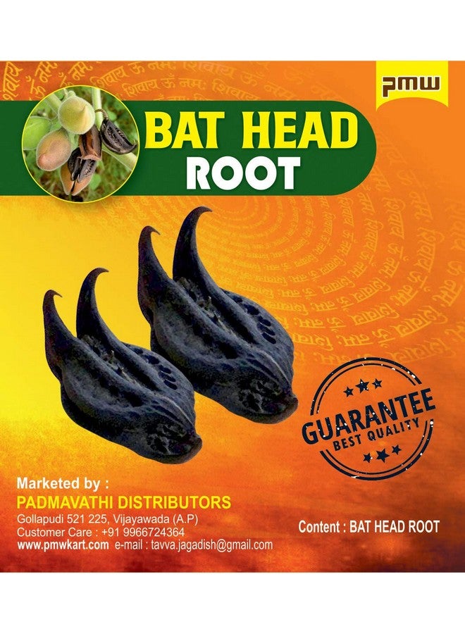 Pmw Baghi Nakhi Bichhu Phal - Kaknasa Martynia Annua 25 Pieces. - Image 1