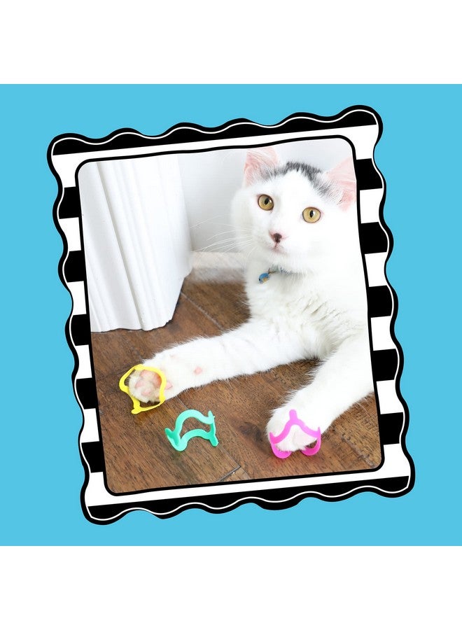 Petmate Interactive Cat Toys - Cat Crazies Multi Pack by Petmate, 4 Count (Pack of 1) - Image 2