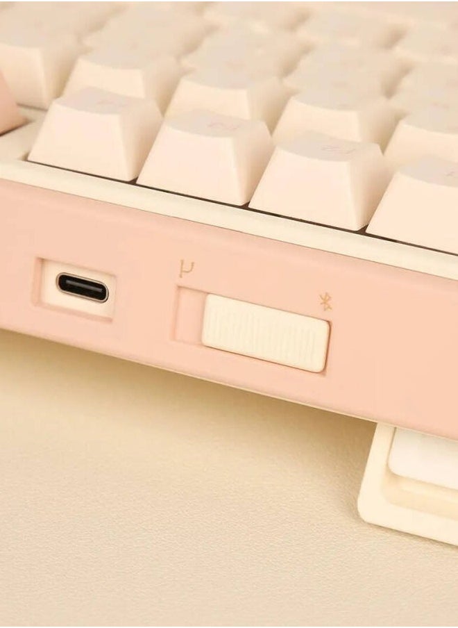 Minilo 75% Wireless Mechanical Keyboard, MX Daisy L Switch, Hot-Swappable, ABS Keycaps, Wire/2.4GHz/BT5.0 Connectivity, US QWERTY Layout, Mendozae