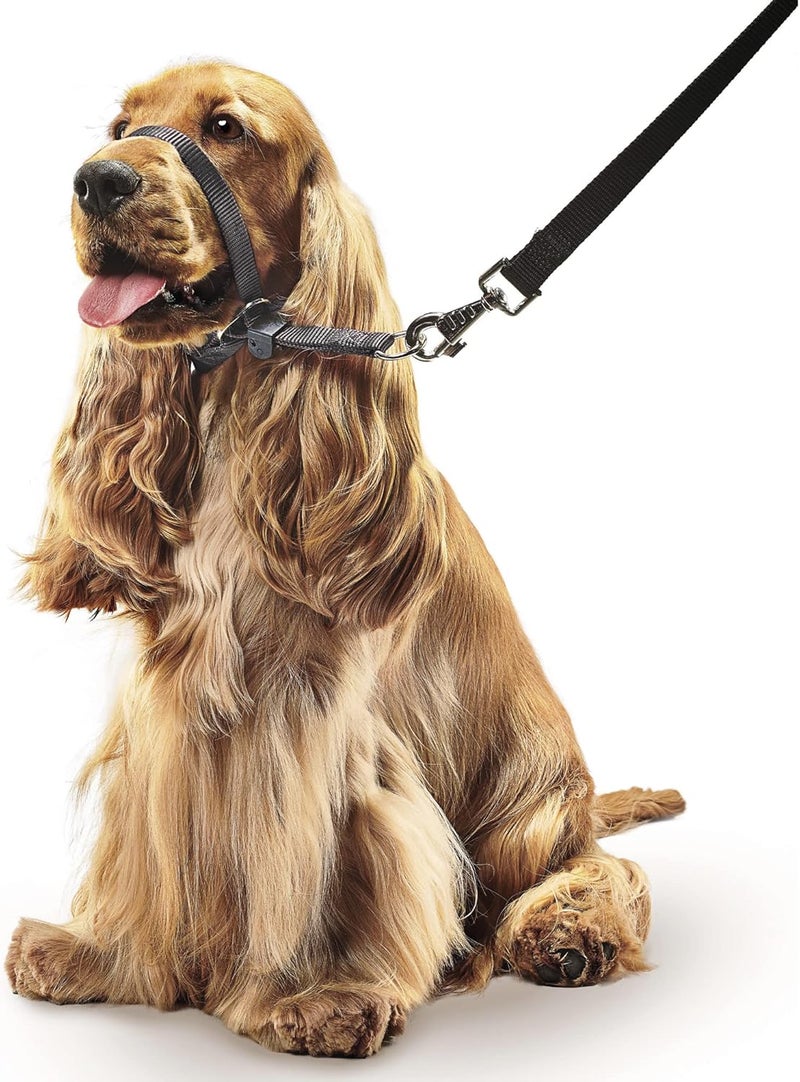 Beaphar Gentle Leader Head Collar for Medium Dogs - Black, Training Aid to Stop Pulling on the Lead - Image 2