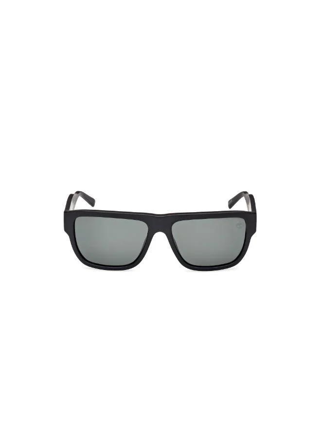 Timberland Square Sunglasses