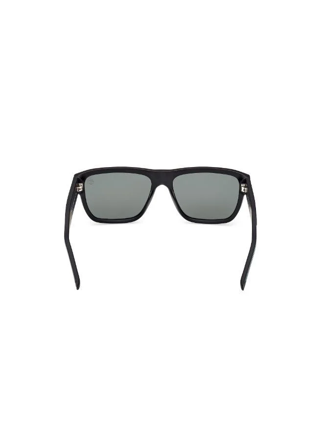 Timberland Square Sunglasses