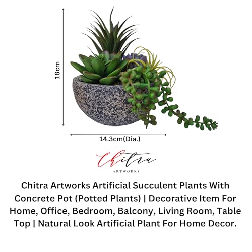 Chitra artworks Art Works Chitra Art Works Artificial Plants with Pot | Realistic Faux Greenery, No Maintenance, Durable Plastic | Home & Office Decor, Indoor Use | 18x15cm (Pack of 1) - Image 2