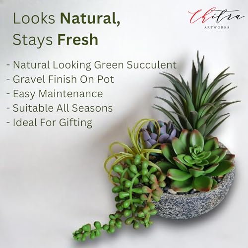 Chitra artworks Art Works Chitra Art Works Artificial Plants with Pot | Realistic Faux Greenery, No Maintenance, Durable Plastic | Home & Office Decor, Indoor Use | 18x15cm (Pack of 1) - Image 3
