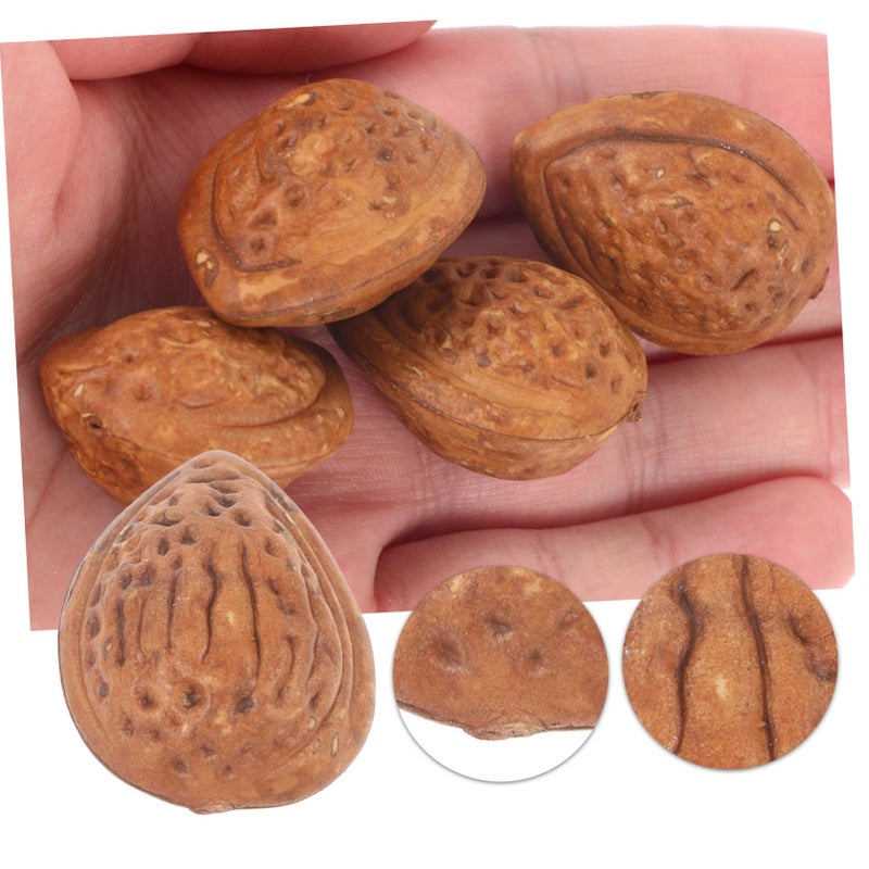 5 Lifelike Artificial Fake Almonds For Photography Decoration Crafts Easy Storage - Image 5