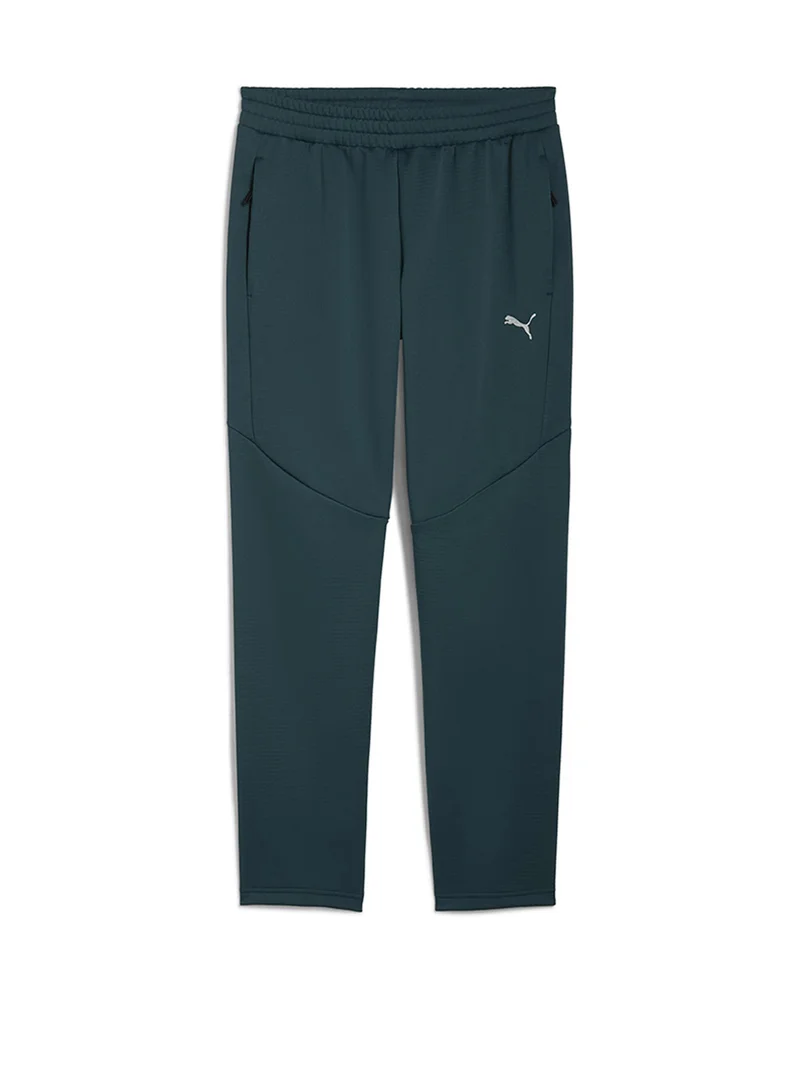 Evostripe Warm Pants