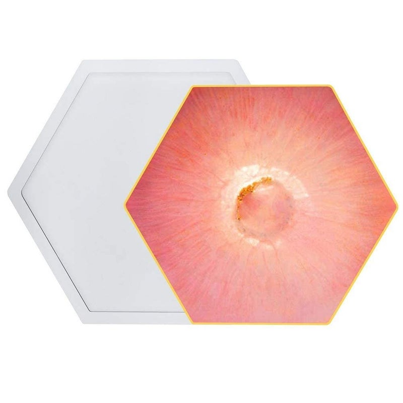 SNOOGG® DIY Coaster 4 Inch Hexagon with Border Silicone Mold for Epoxy Mold Multipurpose for Resin Art and Craft Casting and More ..Pack of 4 - Image 3