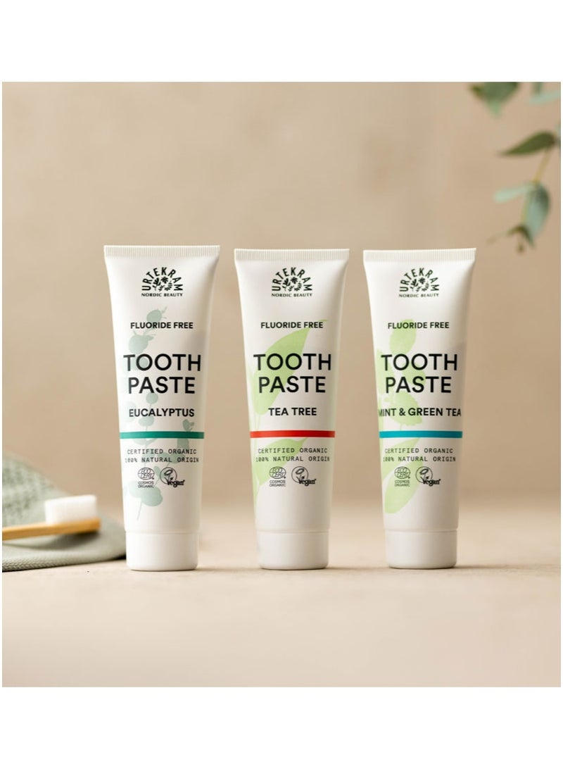 Urtekram Organic Eucalyptus Toothpaste, 75ml - Fluoride-Free, 100% Organic - Vegan, Natural Ingredients, Gentle Oral Care - Image 5