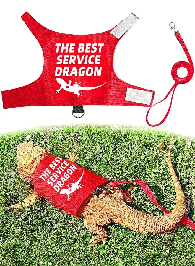 Atigrado Bearded Dragon Harness and Leash Set, Escape Proof Adjustable Lizard Reptile Vest Clothes with 5.5 ft Leash for Outdoor Walking, Best Service Dragon Design - Image 1