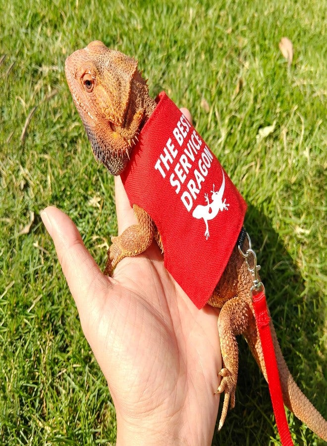 Atigrado Bearded Dragon Harness and Leash Set, Escape Proof Adjustable Lizard Reptile Vest Clothes with 5.5 ft Leash for Outdoor Walking, Best Service Dragon Design - Image 5