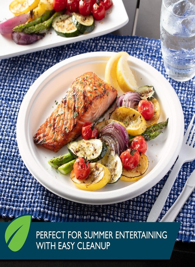 Hefty ECOSAVE Compostable Paper Plates, 10-1/8 Inch, 16 Count - Image 2