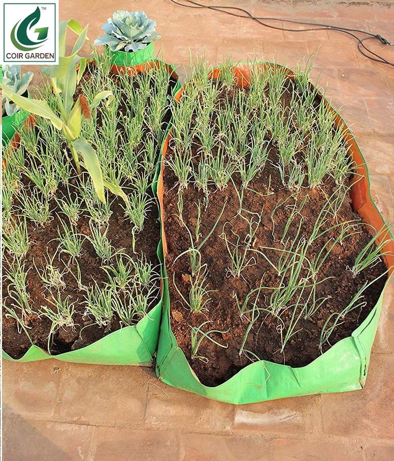 COIR GARDEN Terrace Gardening HDPE Grow Bags for Vegetable Plants (24"x12"x12" Inches) - [60cms(L) X30cms(W) X30cms(H)] - Pack of 3 - Image 4