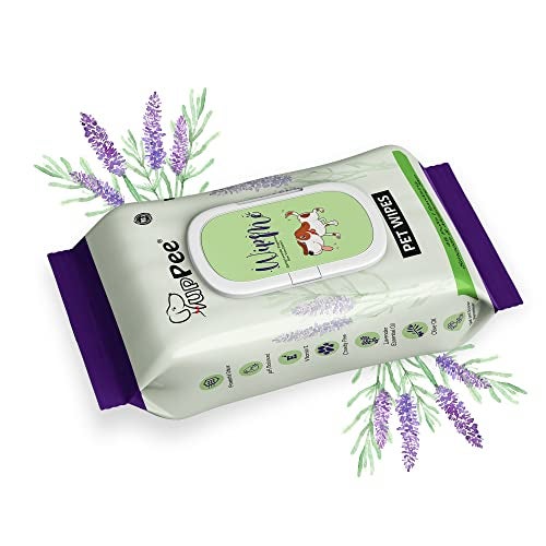 PUPPEE Wipe ME Pet Wipes 48 Wipes Count (Pack of 1) 100% Biodegradable Fabric | Anti-Bacterial & Hypoallergic Formula | Lavender Essential, Vitamin E & Olive Oil | Natural Extracts & Actives - Image 1