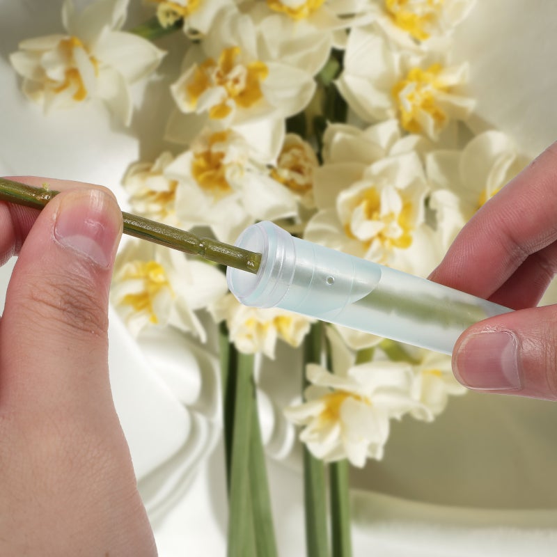 200 Pcs Flower Water Tubes Transparent Flower Test Tubes Orchid Tubes with Cap for Flower Arrangements - Image 5
