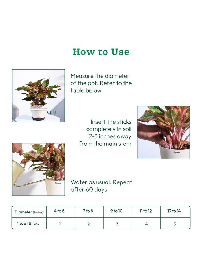 UGAOO Plant Food Fertilizer Bloom Sticks for All Flowering Plants Home Garden - Pack of 40 - Image 4