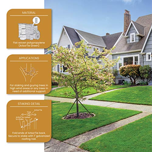 DeepRoot ArborTie Tree Straps for Staking and Guying, Flexible Tree Support Straps, Versatile Tree Rope, Tree Ties For Street Trees, Orchards, and Landscape Trees, 500’ Roll, Olive (AT 5G) - Image 2