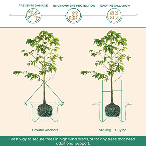 DeepRoot ArborTie Tree Straps for Staking and Guying, Flexible Tree Support Straps, Versatile Tree Rope, Tree Ties For Street Trees, Orchards, and Landscape Trees, 500’ Roll, Olive (AT 5G) - Image 4