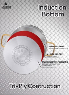 Life Smile Premium 18/10 Stainless Steel Shallow Cooking Pot - Induction 3-Ply Thick Base Casserrole with Glass Lid for Even Heating Oven Safe Silver Gold  - Image 2