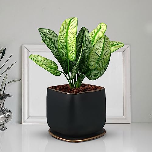 Lasaki Pearl Medium Black Gold Ceramic Pot with Bottom Tray/Plate for Pots | Flower Plant Gamla for Indoor, Outdoor, Garden Decoration, Balcony & Office (L-15 X W-15 X H-13.5 Cm) - Image 1