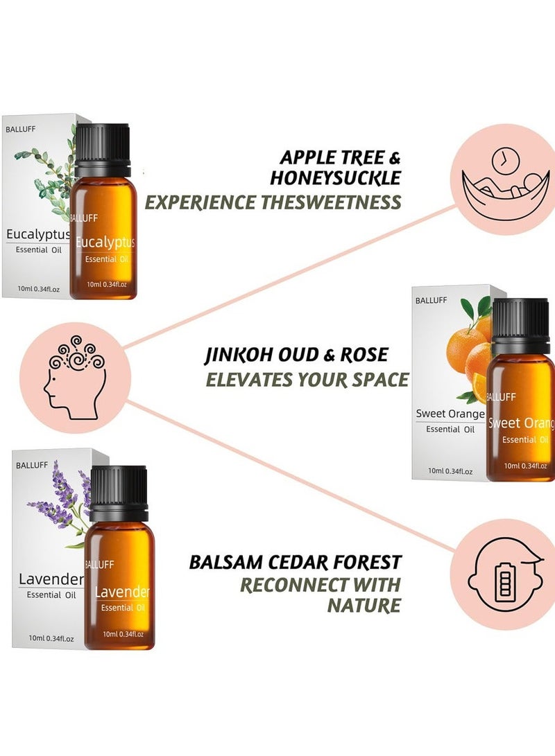 6-PCS Premium Aromatherapy Essential Oil Set, Plant Extract 10ml*6 - Image 3