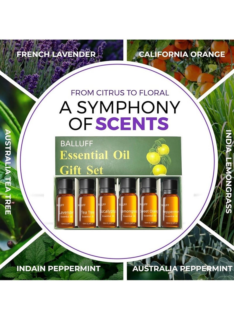 6-PCS Premium Aromatherapy Essential Oil Set, Plant Extract 10ml*6 - Image 5