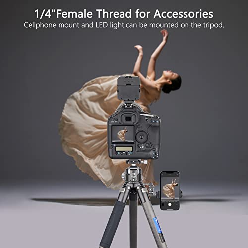 ARTCISE 40mm Lightweight Compact Carbon Fiber Tripod with 52mm Low Profile Ball Head Kit 10-Layer Carbon Heavy Duty Travel Camera Stand Detachable Monopod with Stone Bag+ Magic Arm+ Phone Clip Max Load 30 kg - Image 5