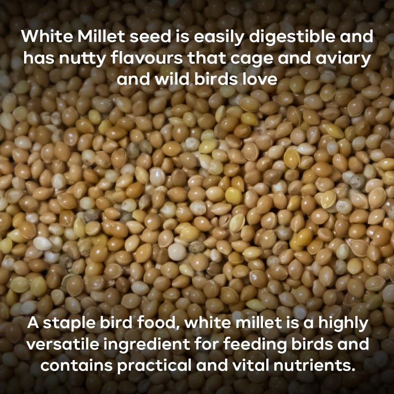 BRANDSFINITY Plain Bird Food For Small Birds - Image 2