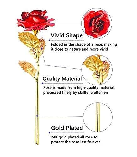 Case Creation Creative Gifts 24K Red Rose 10 INCHES with Gift Box Best Gift for Loves Ones Valentines Day Mothers Day Anniversary Birthday - Image 3
