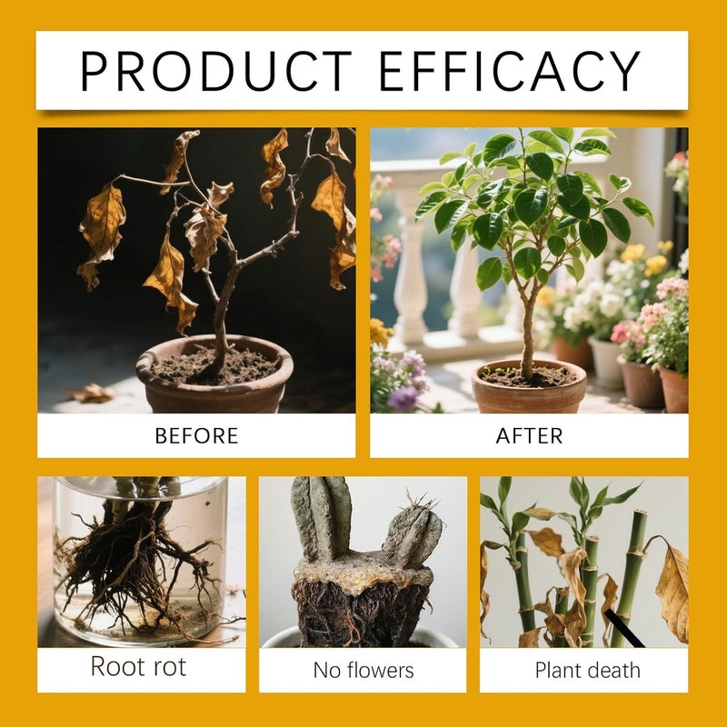 Makbeaty Plant protection spray, Natural Germs and Fungus Killer for Plants,for Indoor and Outdoor Plants | Removes Mealybugs, Fungus and Other Pests from plants,Plant pest control Ready to Use - Image 3