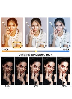 Ulanzi ULANZI U200 Ring Light Smartphone Video Rig with Phone Holder & Built-in 8000mAh Power Bank for Selfie Light, Makeup, Vlogging, Filmmaking Live Steam Tiktok YouTube Video Recording  - Image 4