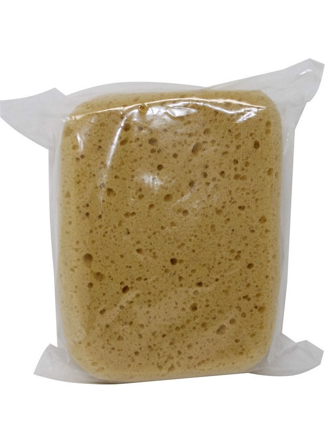 Decker 16DBS Body Sponge for Dogs and Horses, Medium