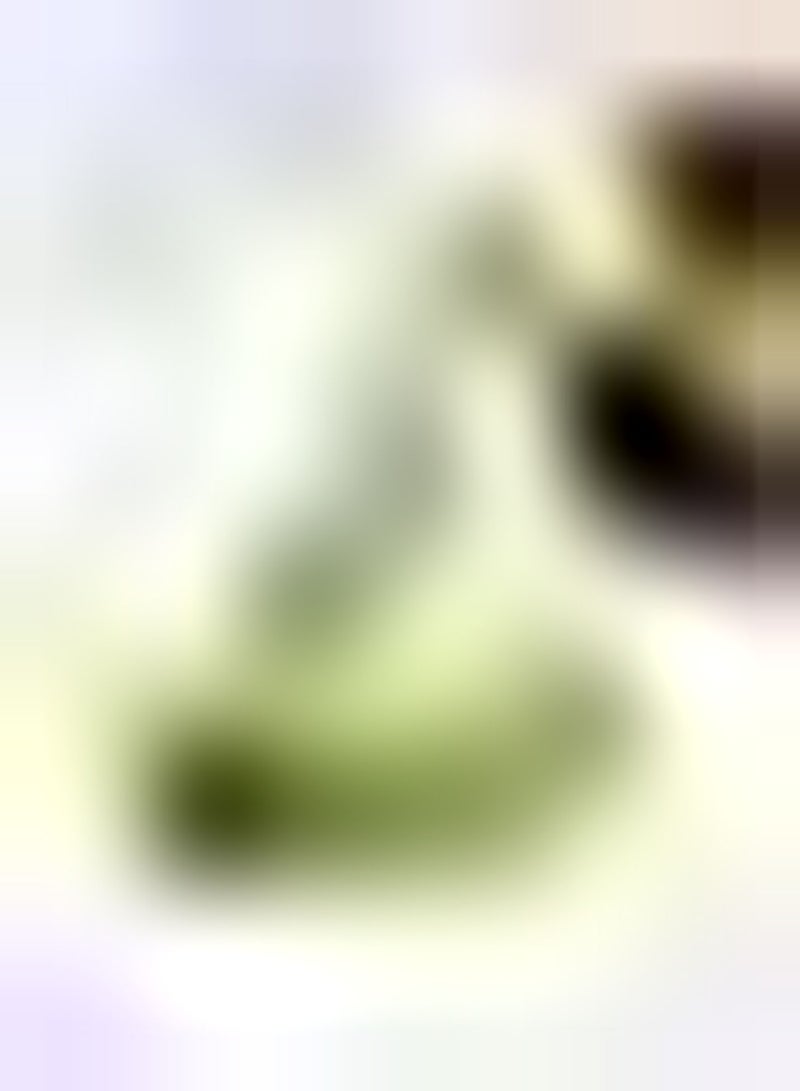 GGOOT 30Stück Bitterkürbissamen Zum Anpflanzen von gesundem attraktivem Gemüse frisch schnelles Wachstum anpassungsfähig bringen Sie Farbe in Ihren Hausgarten - Image 3