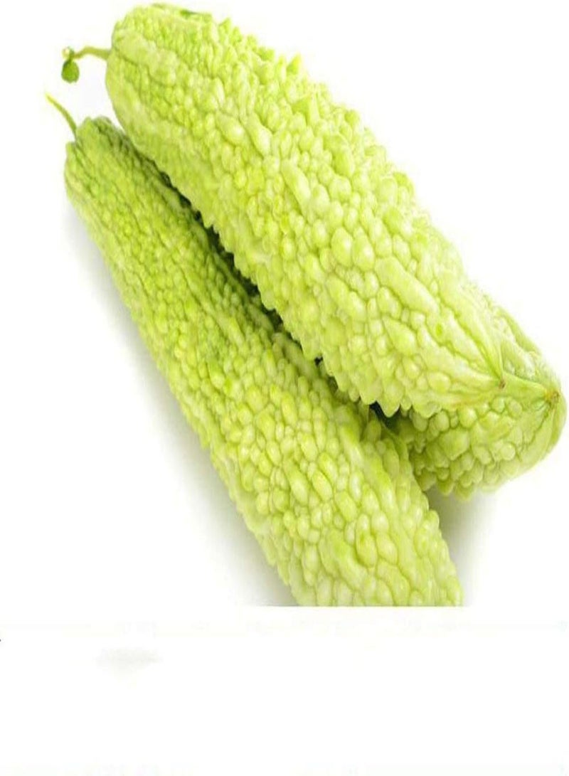 GGOOT 30Stück Bitterkürbissamen Zum Anpflanzen von gesundem attraktivem Gemüse frisch schnelles Wachstum anpassungsfähig bringen Sie Farbe in Ihren Hausgarten - Image 2