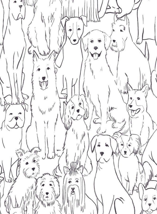 NuWallpaper NUS3675 Black Paws On Peel Stick Wallpaper, White & Off-White - Image 1