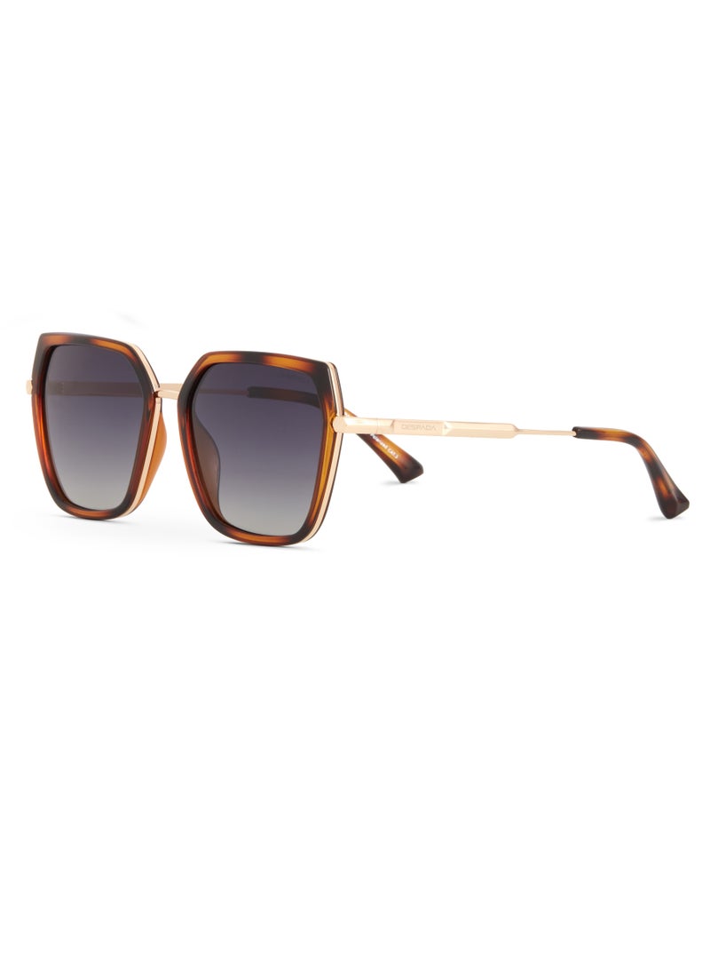 Despada Full Rim Polarized Butterfly DS 2351 C3 - Image 1