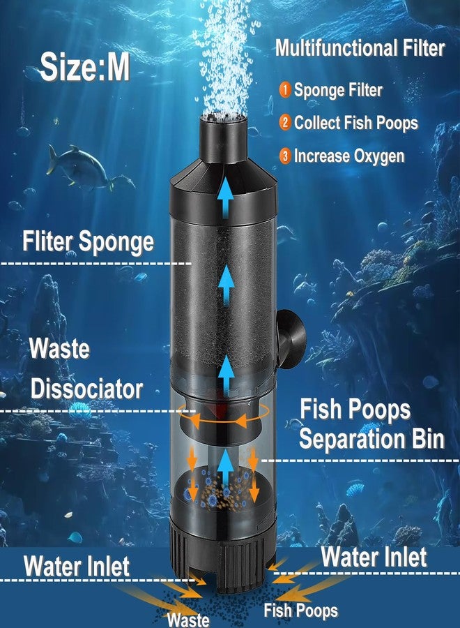 Carefree Fish فلتر فقاعات إسفنجي لحوض السمك من كير فري مع جامع لفضلات الأسماك، هادئ لأحواض الأسماك من 8 إلى 20 جالون للمياه المالحة والعذبة (لا يشمل مضخة الهواء). - Image 2
