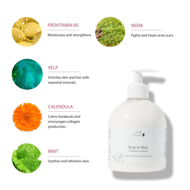 100 % Pure 100% PURE Kelp & Mint Volumizing Conditioner Moisturizer & Deep Hydration - Botanical Body Boost for Dry, Damaged Thinning Hair, Promotes Healthy Growth for Women & Men - Sulfate Free - 16 Fl Oz - Image 3