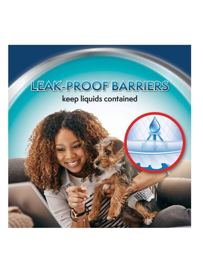 Simple Solution 12 قطعة لفافات للكلاب الذكور القابلة للاستخدام مرة واحدة XS - Image 3